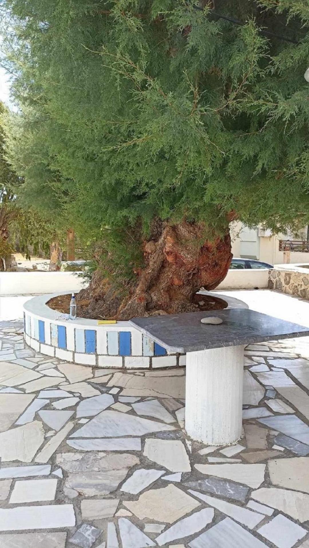 شقة La Casa Azul - Blue House سيتيا المظهر الخارجي الصورة